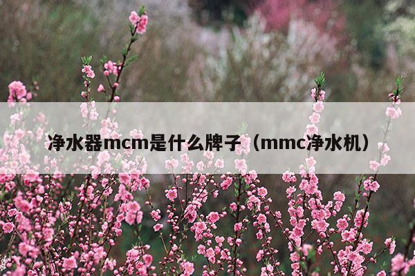 凈水器mcm是什么牌子(mcm是什么單位)