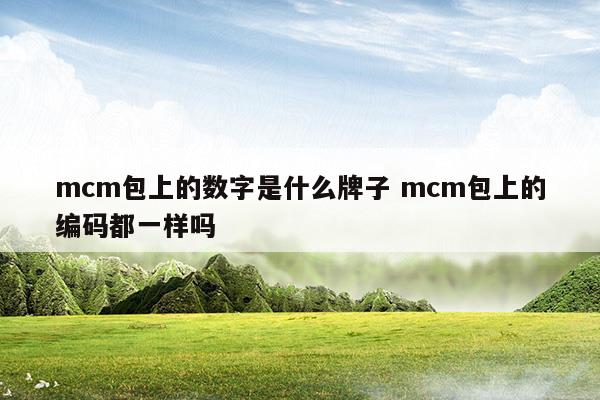 mcm包上的數(shù)字是什么牌子mcm包上的編碼都一樣嗎(mcm包上的數(shù)字是什么牌子mcm包上的編碼都一樣嗎)