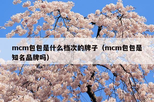 mcm包包是什么檔次的牌子(mcm包包屬于什么檔次價格)