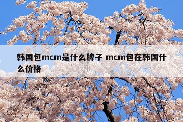 韓國包mcm是什么牌子mcm包在韓國什么價(jià)格(mcm的包在韓國什么價(jià)位)