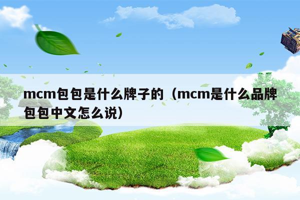 mcm包包是什么牌子的(蜜蜂包包是什么牌子的)