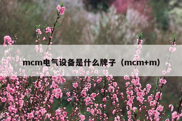 mcm電氣設(shè)備是什么牌子(mcm+m-mr)