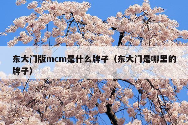 東大門版mcm是什么牌子(韓國(guó)東大門服裝官網(wǎng))