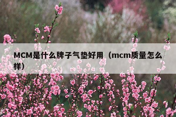 MCM是什么牌子氣墊好用(mcm是什么牌子的包)