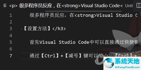 visual studio code怎么放大字體(visual studio字體設置)