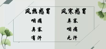 風熱感冒和風寒感冒的癥狀區(qū)(風熱感冒和風寒感冒的癥狀都有是怎么回事)