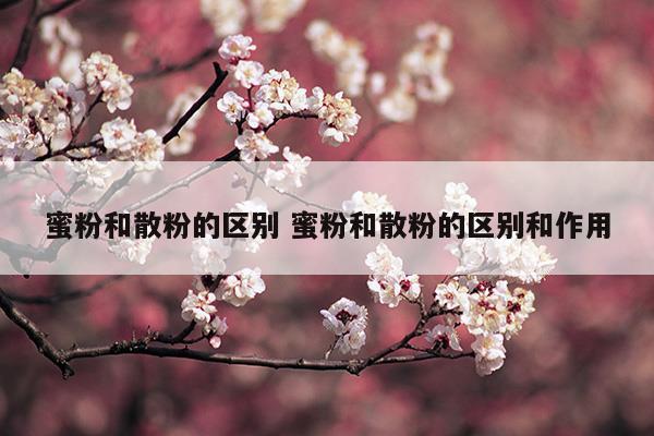 蜜粉和散粉的區(qū)別是什么