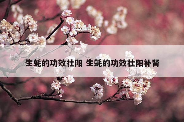 生蠔的功效壯陽生蠔的功效壯陽補(bǔ)腎(生蠔的功效壯陽?)