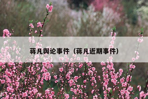 蔣凡輿論事件(蔣凡演講視頻)