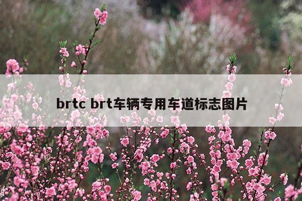 brtcbrt車輛專用車道標志圖片(brt 車輛專用車道)