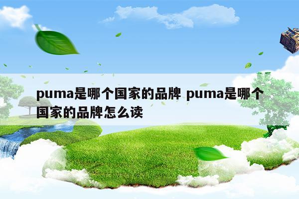 puma是哪個(gè)國(guó)家的品牌puma是哪個(gè)國(guó)家的品牌怎么讀(國(guó)家開(kāi)放大學(xué)一網(wǎng)一平臺(tái)登錄入口)