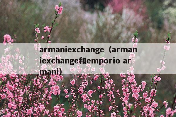 armaniexchange(armani exchange是不是阿瑪尼)