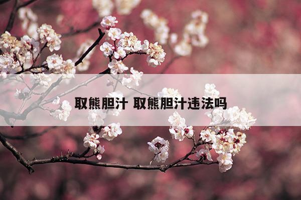 取熊膽汁取熊膽汁違法嗎(抽取熊膽汁是違法的嗎)