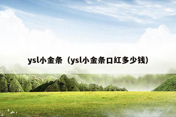 ysl小金條真假辨別