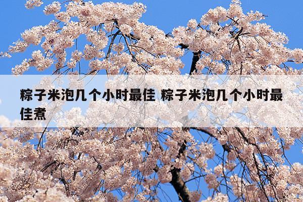 粽子米泡幾個(gè)小時(shí)最佳粽子米泡幾個(gè)小時(shí)最佳煮(粽子米應(yīng)該泡多久)