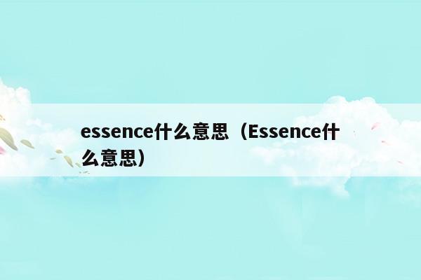 in essence是什么意思