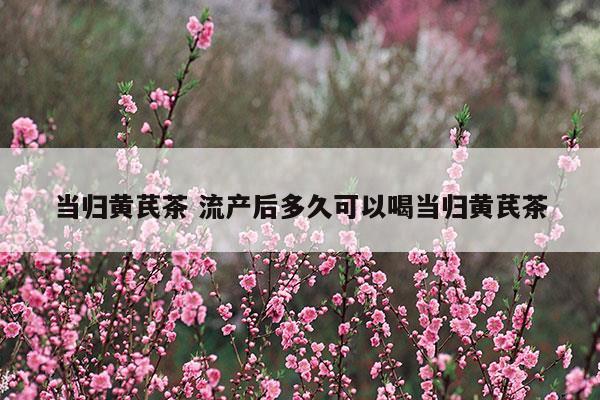 當(dāng)歸黃芪茶流產(chǎn)后多久可以喝當(dāng)歸黃芪茶(流產(chǎn)多久可以吃當(dāng)歸和黃黃芪泡茶喝)