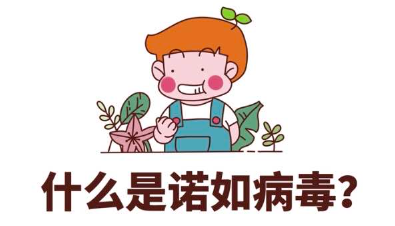 諾如病毒的癥狀和治療方法