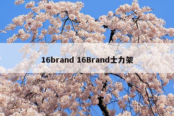 16brand16Brand士力架(士力架16brand口紅試色)