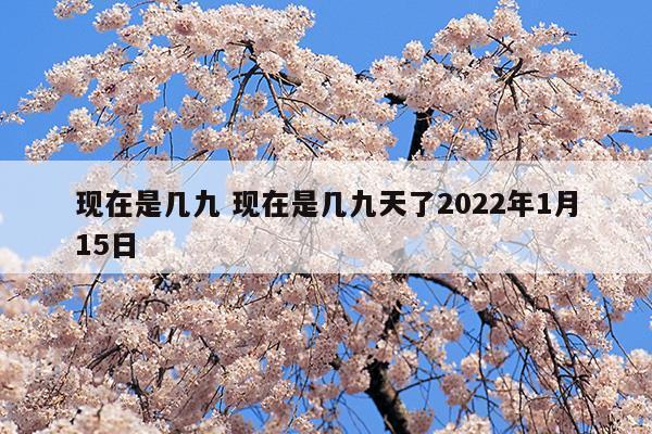 現(xiàn)在是幾九現(xiàn)在是幾九天了2023年1月15日(九天斬神訣)