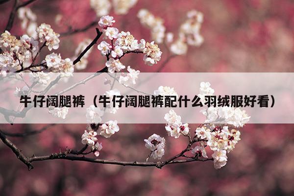 牛仔闊腿褲(牛仔闊腿褲怎么搭配上衣夏天)