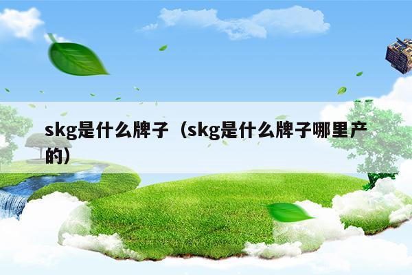 skg是什么牌子(skg是什么牌子怎么樣)