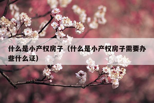 什么是小產(chǎn)權(quán)房子(什么是小產(chǎn)權(quán)房能不能買)