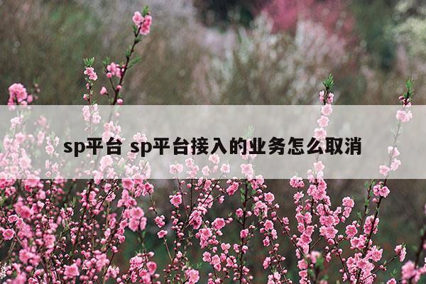 sp平臺(tái)sp平臺(tái)接入的業(yè)務(wù)怎么取消(sp服務(wù)短信費(fèi)可以取消嗎)