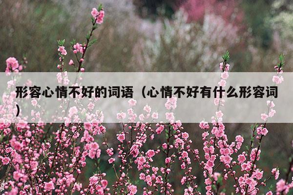 形容心情不好的詞語(形容心情不好的詞語或句子)