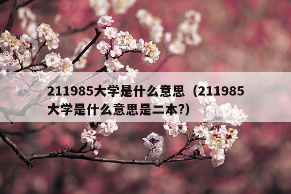 985大學是什么意思 985有哪些學校