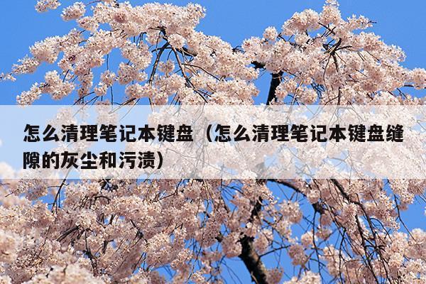 怎么清理筆記本鍵盤(怎么清理筆記本鍵盤里面的灰塵和臟東西)