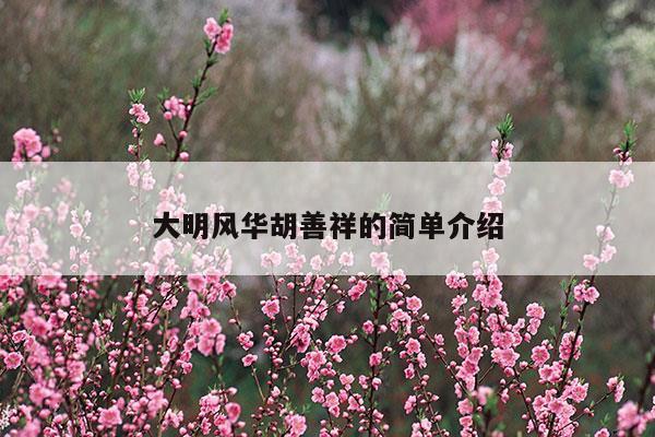 大明風華胡善祥的簡單介紹(大明風華胡善祥的簡單介紹)