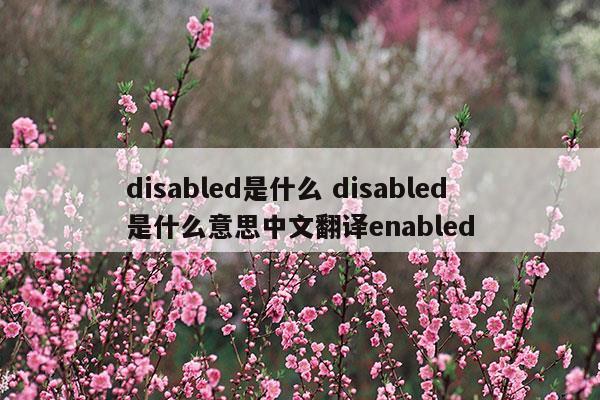 disabled是什么disabled是什么意思中文翻譯enabled(disabled是什么disabled是什么意思中文翻譯enabled)