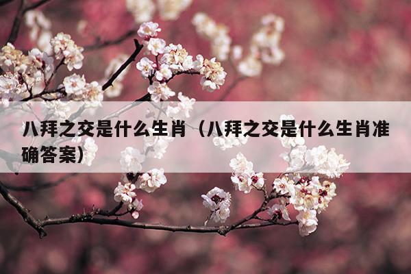 八拜之交是什么生肖(八拜之交是什么生肖的動(dòng)物)