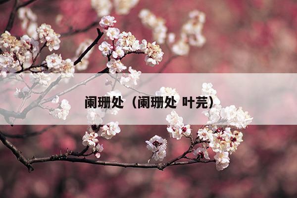 闌珊處(闌珊處的詩(shī)句)