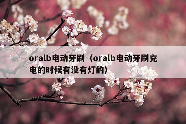 oralb電動(dòng)牙刷(oralb電動(dòng)牙刷怎么充電)