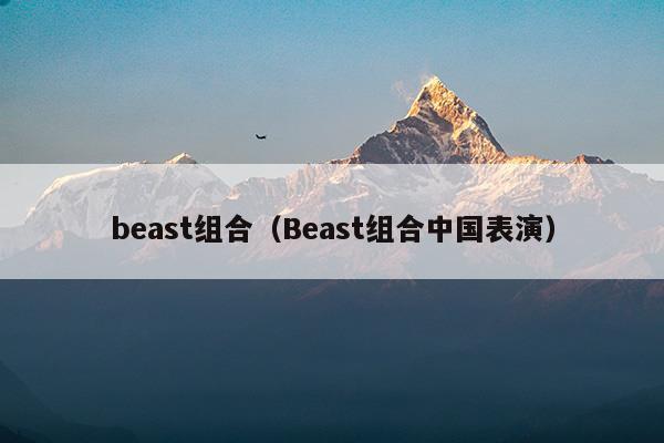 beast組合成員資料