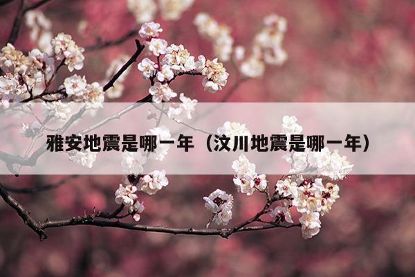 雅安地震是哪一年什么時(shí)候