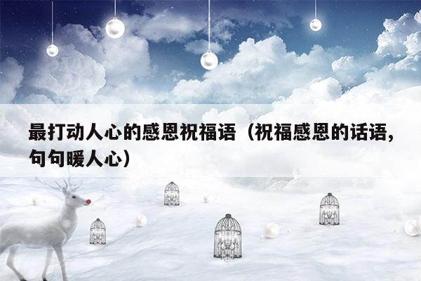 最打動(dòng)人心的感恩祝福語(最打動(dòng)人心的感恩句子)