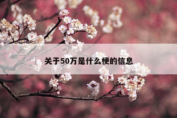 關(guān)于50萬是什么梗的信息(國家企業(yè)信用信用信息公示系統(tǒng)官網(wǎng))