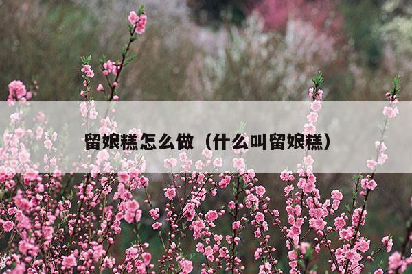 留娘糕怎么做(計(jì)提所得稅會(huì)計(jì)分錄怎么做)