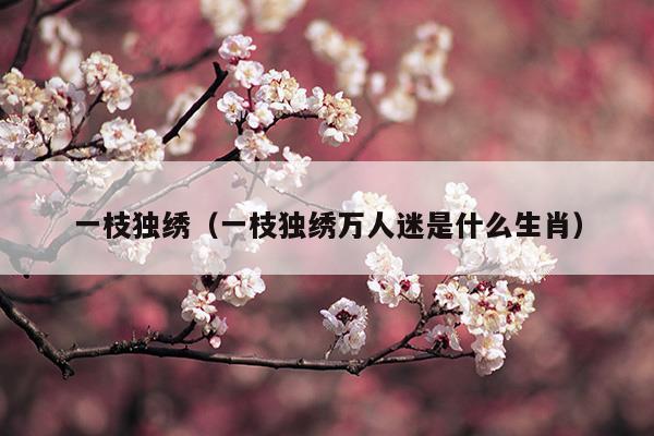 一枝獨(dú)繡(一枝獨(dú)繡寫(xiě)的小說(shuō))