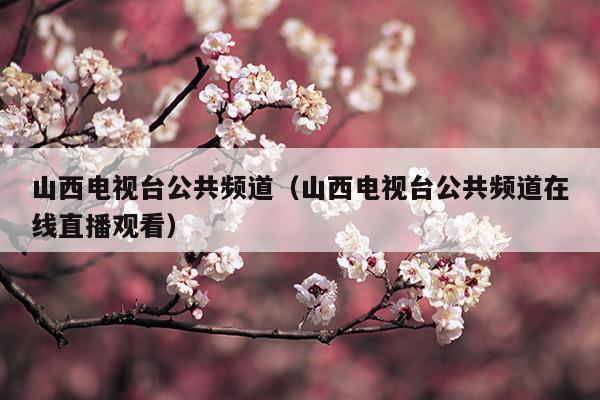 山西電視臺(tái)公共頻道直播在線觀看