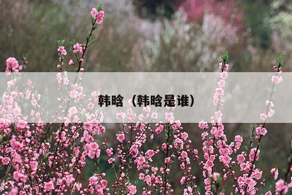 韓晗(韓晗寓意什么意思)