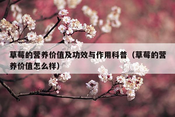 草莓的營(yíng)養(yǎng)價(jià)值及功效與作用科普(草莓的營(yíng)養(yǎng)價(jià)值及功效與作用圖片)