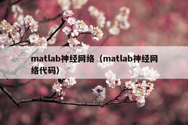 matlab神經(jīng)網(wǎng)絡(luò)(matlab神經(jīng)網(wǎng)絡(luò)43個案例分析)