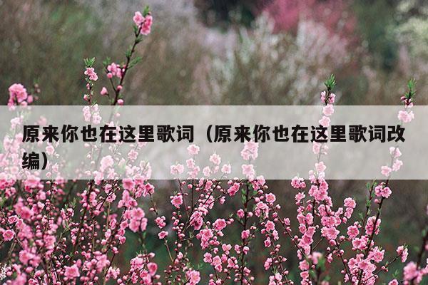 原來你也在這里歌詞(原來你也在這里歌詞表達什么感情)