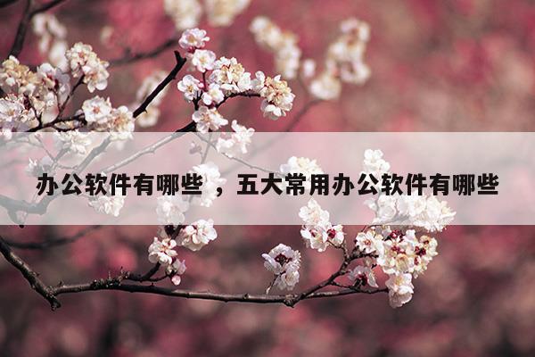 辦公軟件有哪些五大常用辦公軟件有哪些(國(guó)產(chǎn)辦公軟件有哪些)