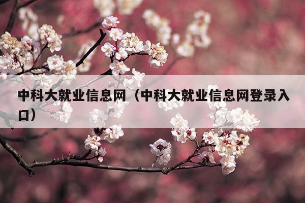 中科大就業(yè)信息網(wǎng)(中科大就業(yè)前景咋樣啊)