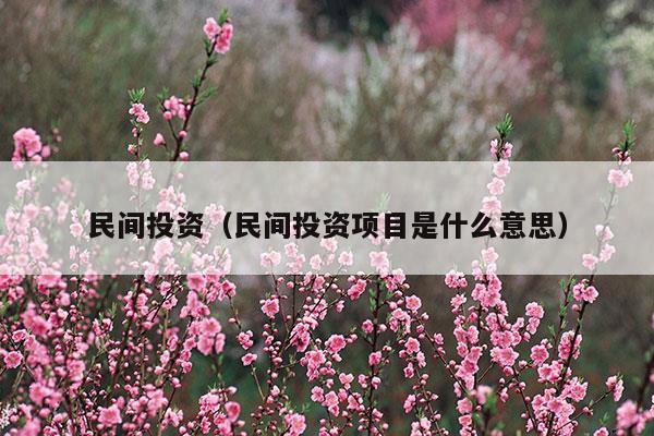 民間投資項(xiàng)目是什么意思